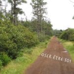 Communiquer en osant être soi