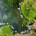 Respiration profonde ou respiration complete