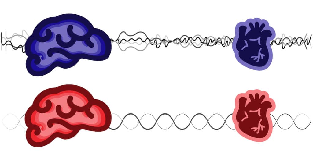 Comment pratiquer la cohérence cardiaque?