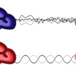 Comment pratiquer la cohérence cardiaque?