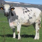 Attaque de panique: Comment calmer angoisse ou anxiété avec la respiration ?