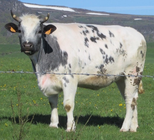 Attaque de panique: Comment calmer angoisse ou anxiété avec la respiration ?