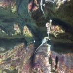 Comment faire face à vos émotions