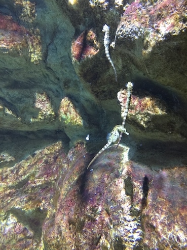 Comment faire face à vos émotions