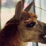 Respirations-de-base-en-sophrologie-Sophro-déplacement-du-négatif