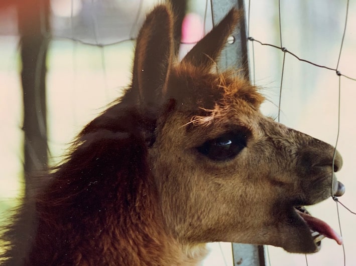 Respirations-de-base-en-sophrologie-Sophro-déplacement-du-négatif