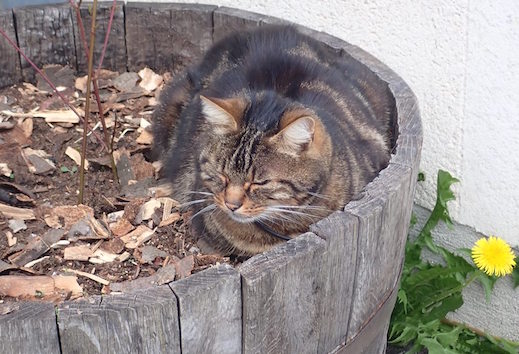 Respiration visualisation