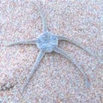 Respirations pour les enfants