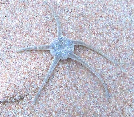 Respirations pour les enfants