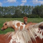 Comment accepter la mort?