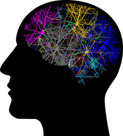 différence entre le mental et l'ego.