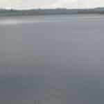 Citations pour la paix