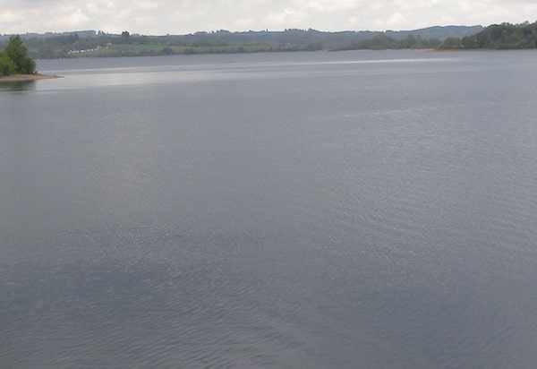 Citations pour la paix